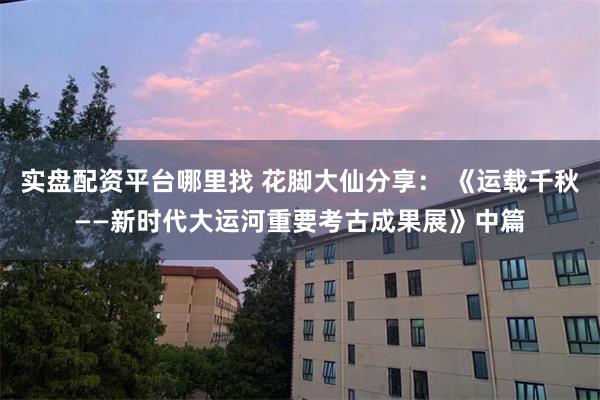 实盘配资平台哪里找 花脚大仙分享： 《运载千秋——新时代大运河重要考古成果展》中篇