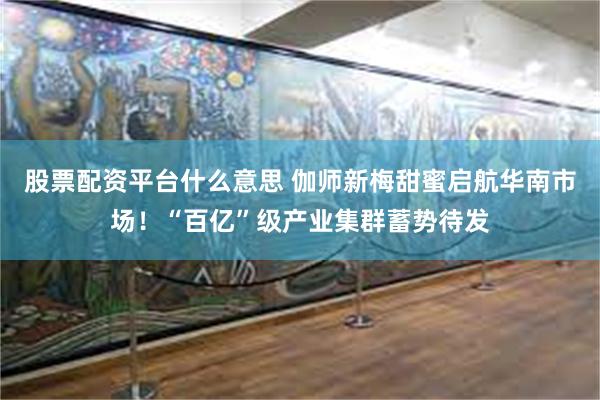 股票配资平台什么意思 伽师新梅甜蜜启航华南市场！“百亿”级产业集群蓄势待发