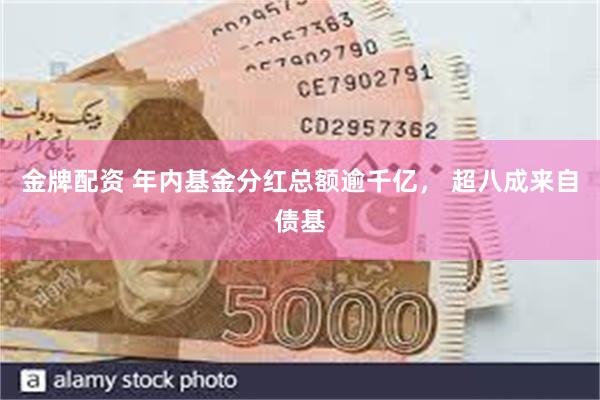 金牌配资 年内基金分红总额逾千亿， 超八成来自债基