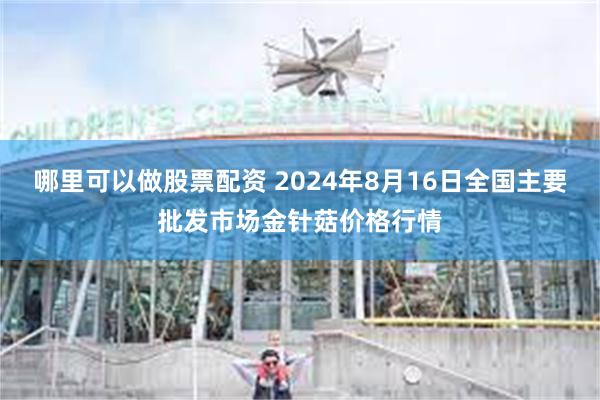 哪里可以做股票配资 2024年8月16日全国主要批发市场金针菇价格行情