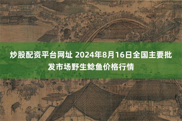 炒股配资平台网址 2024年8月16日全国主要批发市场野生鲶鱼价格行情