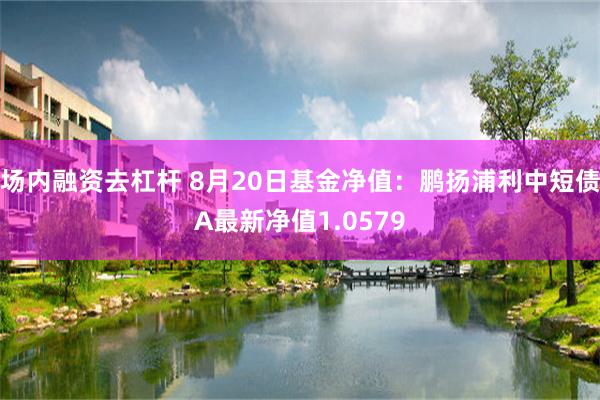 场内融资去杠杆 8月20日基金净值：鹏扬浦利中短债A最新净值1.0579