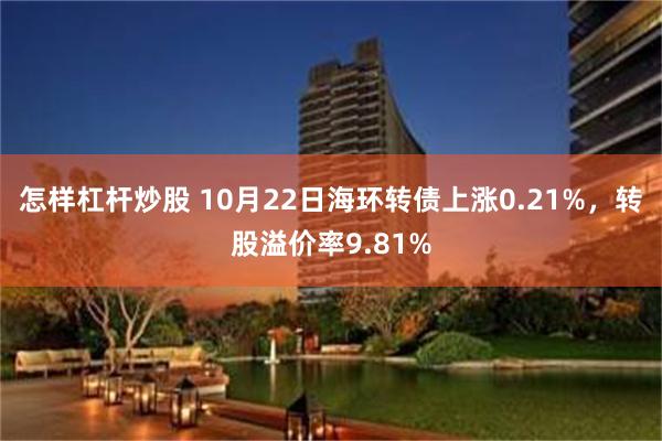 怎样杠杆炒股 10月22日海环转债上涨0.21%，转股溢价率9.81%