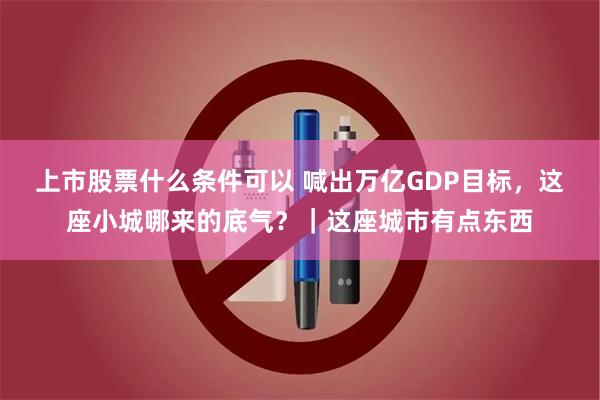 上市股票什么条件可以 喊出万亿GDP目标，这座小城哪来的底气？｜这座城市有点东西