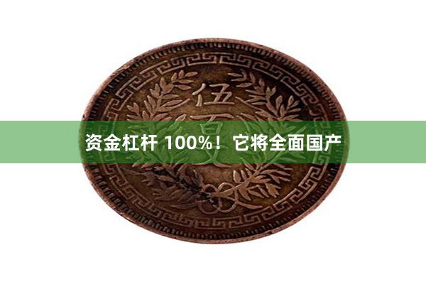 资金杠杆 100%！它将全面国产