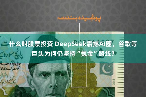 什么叫股票投资 DeepSeek震撼AI圈，谷歌等巨头为何仍坚持“氪金”路线？