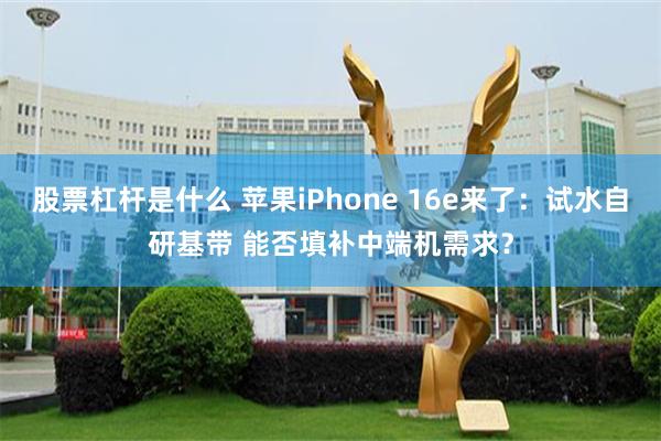 股票杠杆是什么 苹果iPhone 16e来了：试水自研基带 能否填补中端机需求？